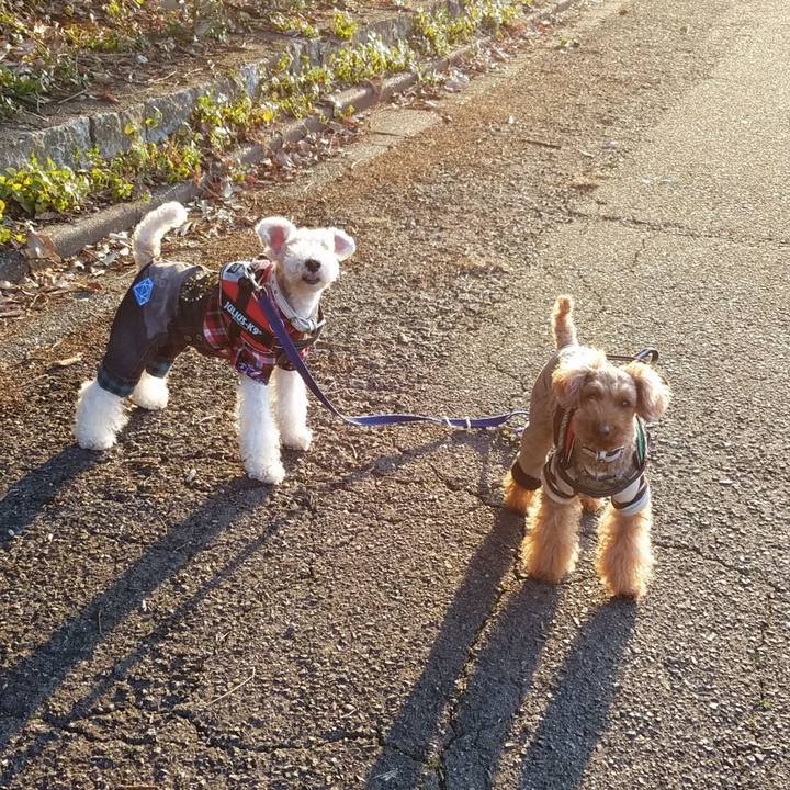 57e96157 8a8f 427f b382 a49621707b42 1551739078873