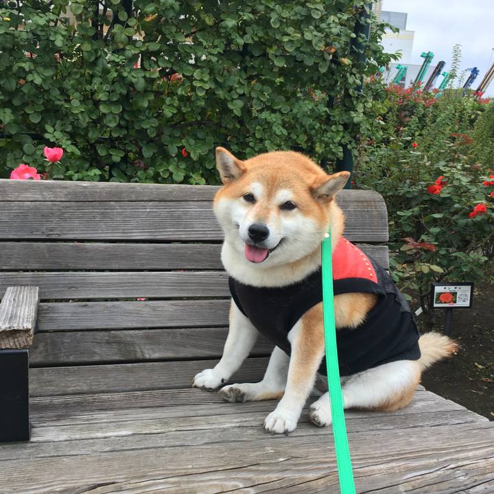 57e98d4c e7e8 4bb7 81b1 456d69bcfd6e 1611210295392