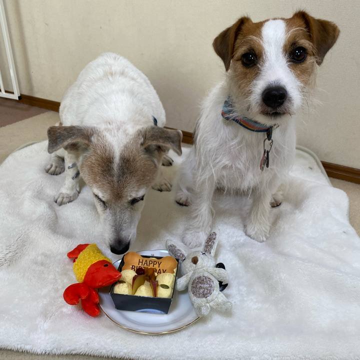 57e9bb97 042f 4a09 a1a0 5492c44aec65 1698535262109