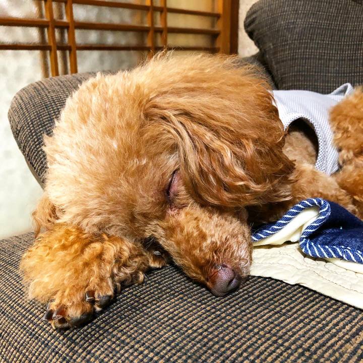 57e9db8a a135 41d6 bddc 77ab883e2ee5 1623820058017