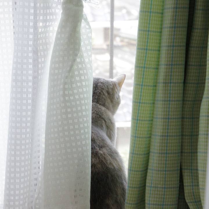 57e9e038 b214 4e9c a2d8 9ca59c83f3e7 1573351264867