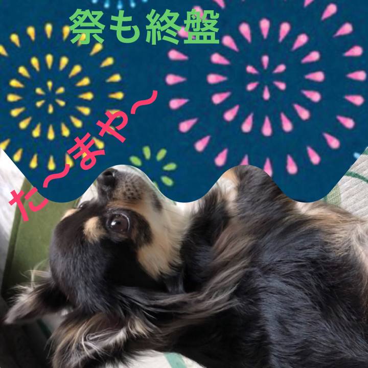 57e9e844 c52b 4fce 93c2 a0f6be14cf15 1565956523178