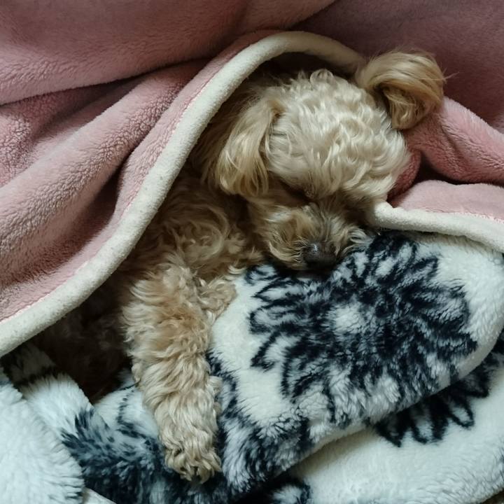 57ea2199 8ba4 4141 a899 2c34f4b27d24 1582598976410