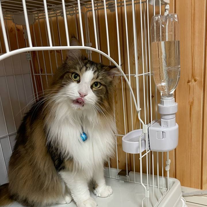 57ea3de1 5713 4e4f 88e9 a1d7bec66d22 1709668386957