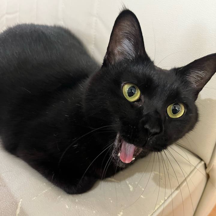 57ea9d84 e2b2 4d41 b2e0 b7960cf47909 1699416480405