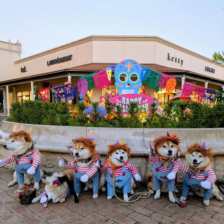 57eaa09d 0114 483b bb39 bbada5aecf13 1759019540933