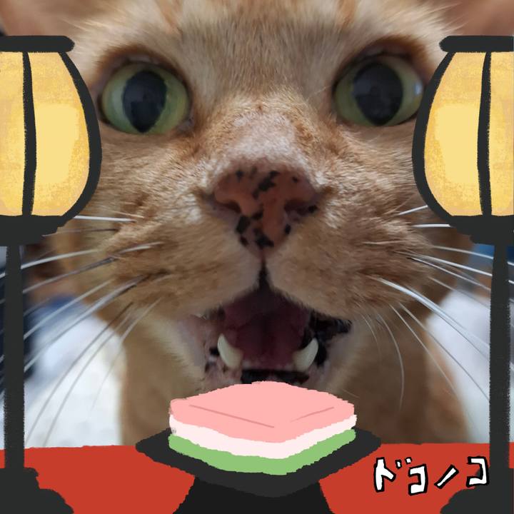 57eabf84 b45f 4d2e 8af5 35d6826b051b 1741318564714