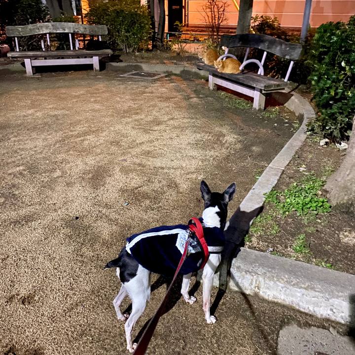 57eacf04 1c45 4075 abed 8451110980db 1580162705231