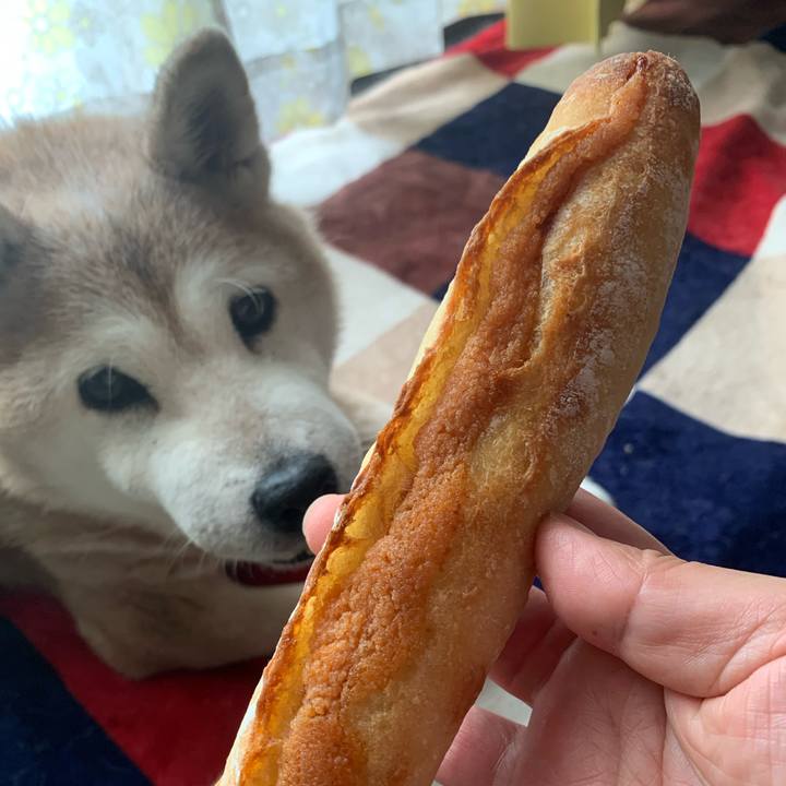 57ead5fa d976 4b04 bd95 db09ae38ca2e 1660278368127