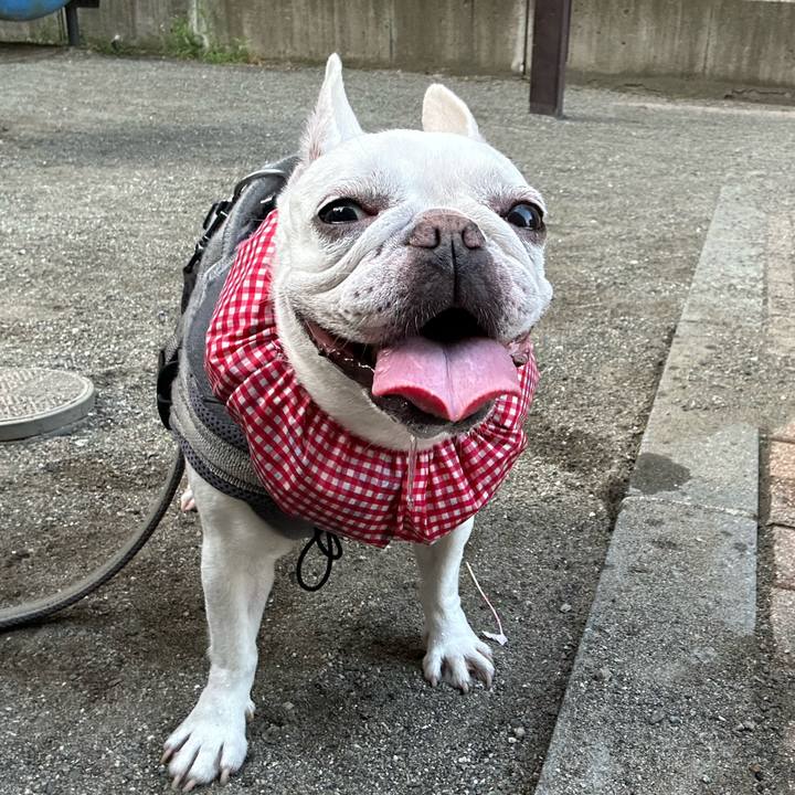 57eaf326 b145 4791 8667 b1f0e42351c5 1692507467184