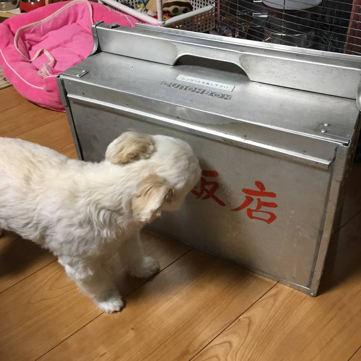 57eb00fd 1fae 4cd0 a71f bc5bf926eadc 1509162844663