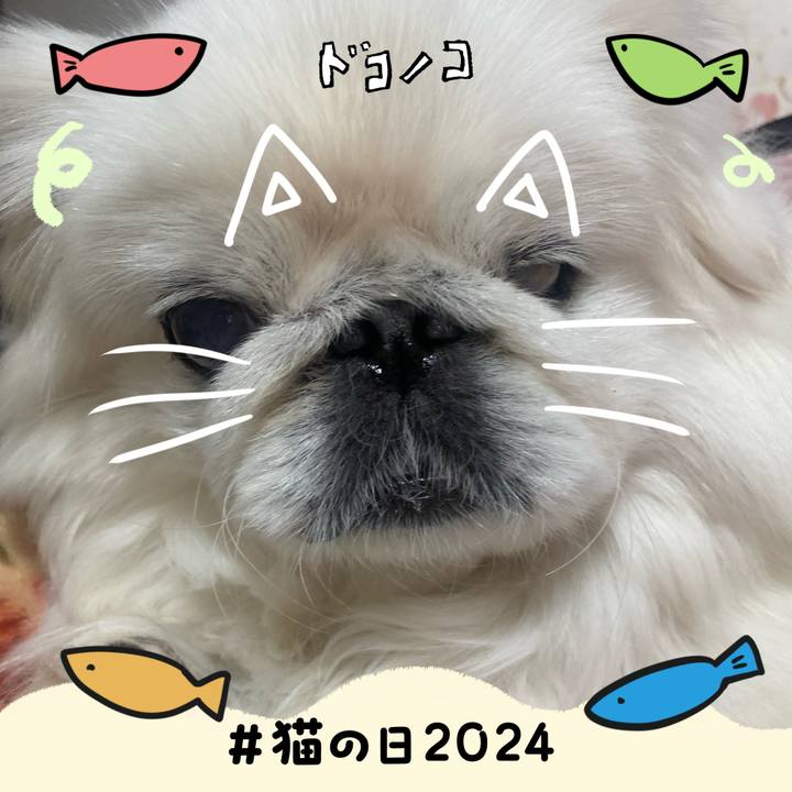 57eb13b6 8136 48e9 af11 68682443135f 1708555206162