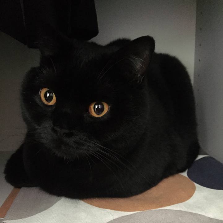 57eb3bcf 29b9 447d bc99 4d33a56a899c 1525923785274