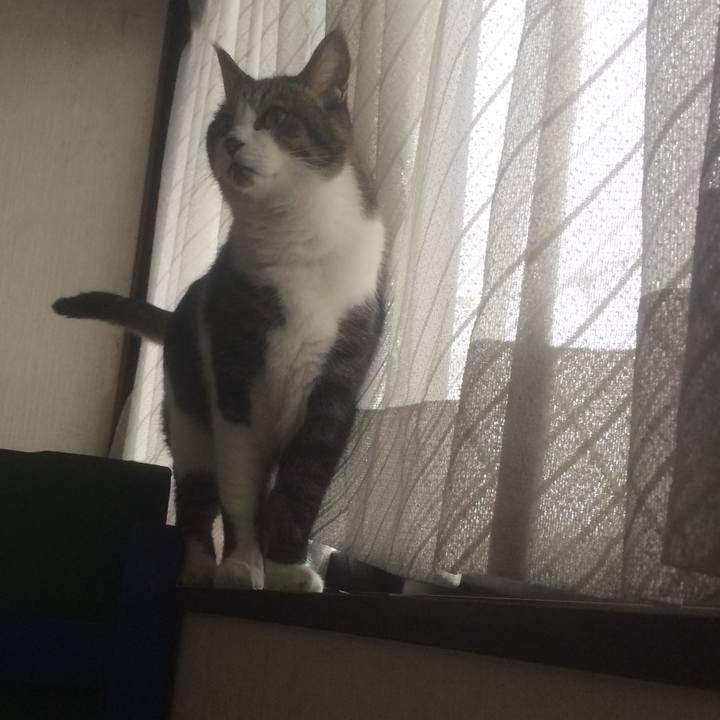 57eb3dee 138b 425b 8ea4 15bf9d0f4549 1539394304341