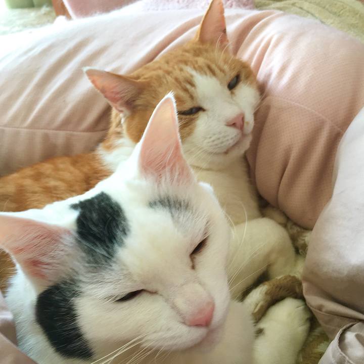 57eb75e2 7443 426e 8e20 7440b41ad9b7 1617956342251