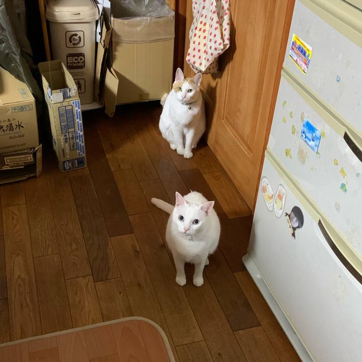 57eb7eb0 b49e 4981 9427 263a8899ce77 1589639889494