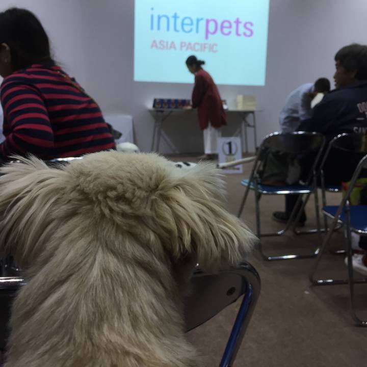 57eb9e5b 91ae 4c83 b761 bfd494a34430 1554019242803