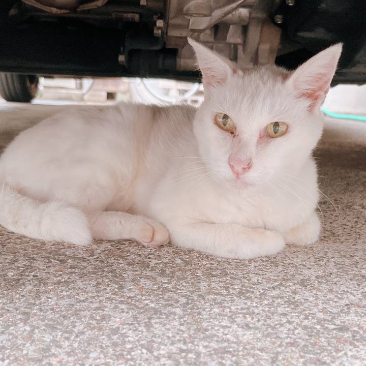 57eba845 6918 451b bb91 766583ccdc6e 1661000074919