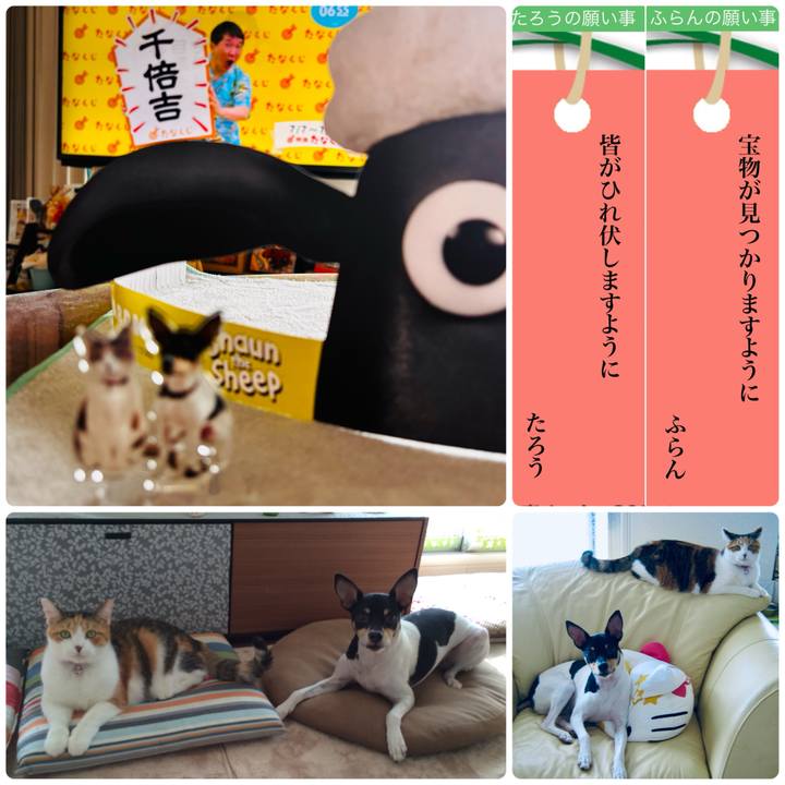 57ebba50 37c4 4a76 a4ee 16d61b0c1dd4 1751841123818