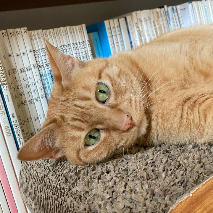 57ebc23c adae 4950 82e4 bc1cbc45b04c 1659743758590