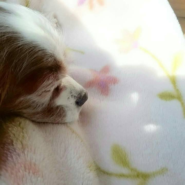 57ebc3d9 943b 4ed2 b046 1488cafeb8ac 1548830375801