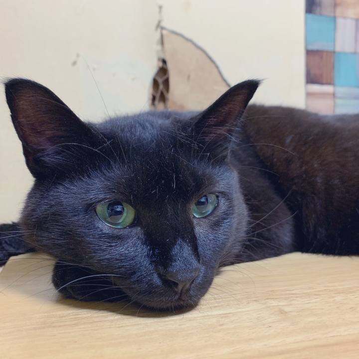 57ebd995 0fe2 468d b22e e7f092160251 1565179428113