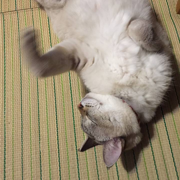 57ec101b d7f2 4867 a517 28ec9da0ea4f 1538737424002