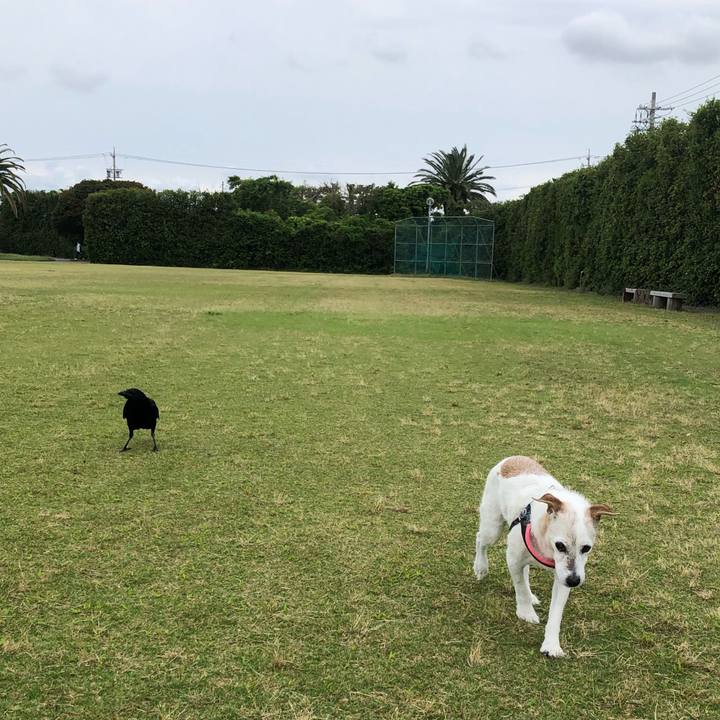 57ec3c6a 4827 4226 a7d5 e9058fc707ae 1654936633313