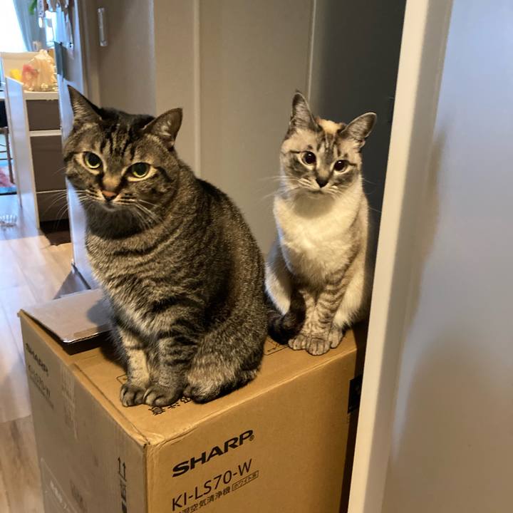 57ec6895 67c9 43d5 9221 4806fe74e2bd 1618615657273