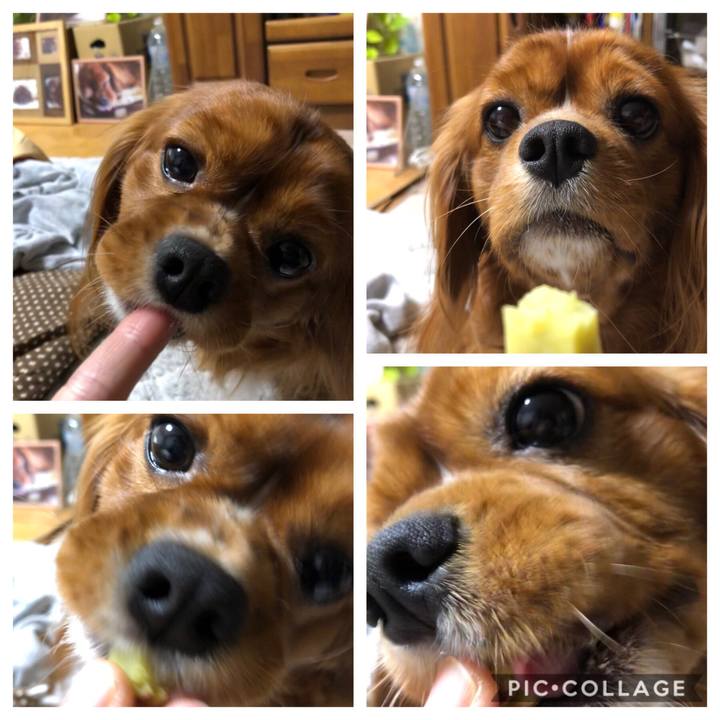 57ecce9f 7f37 41f0 91a9 b9039aaaa50f 1572529890438