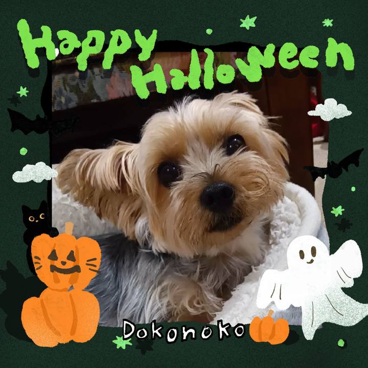 57ecd78d 1820 485c ae3a e552538ab7f4 1730367241905