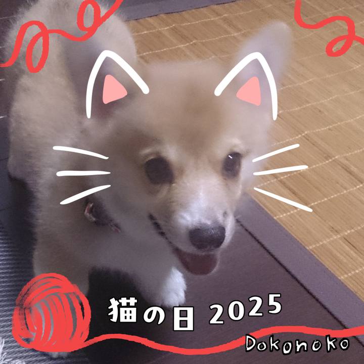 57ed065c ea92 46cf a858 d946ba89c777 1740105646110