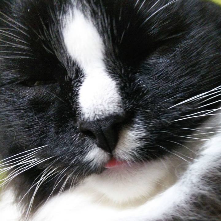 57ed0b97 c53d 4054 83fe d89110152a14 1650926770435