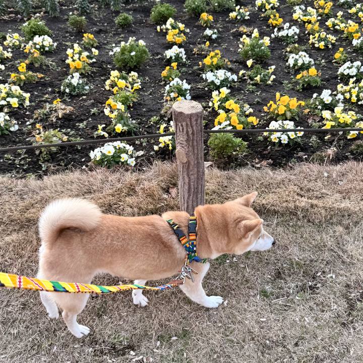 57ed49a2 5b92 4c09 ae47 0926b2d34665 1770249666157