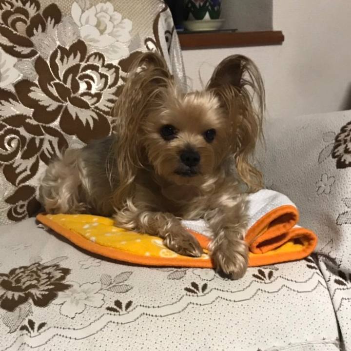 57ed6382 5edf 46d2 9262 616488d72ebe 1572859719378