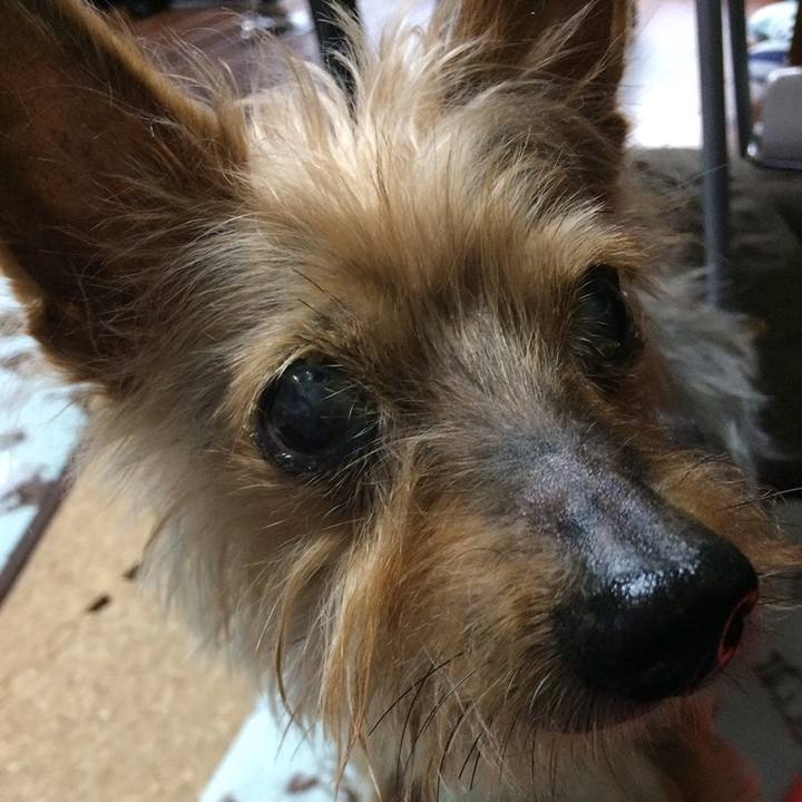 57ed852b 9942 4a6e a31c 64890928e34b 1586473421901