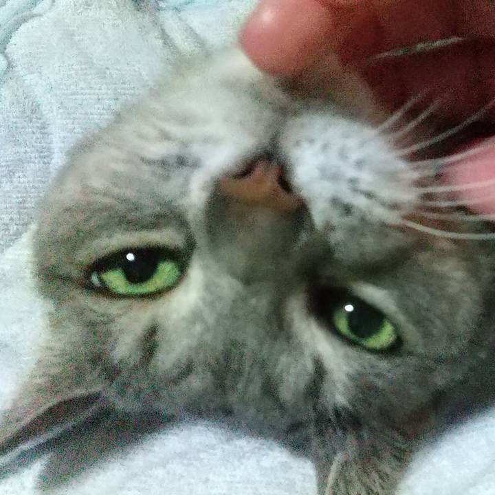 57eda804 a1cc 4ecf ba67 06017b3438b1 1694347626349