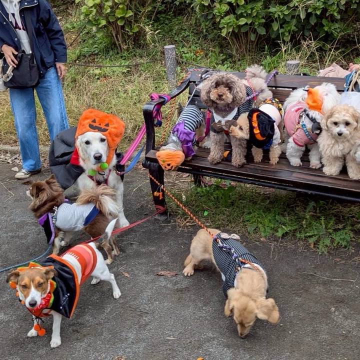 57edac4b 8669 43a4 92b1 07134e28340d 1761304491111