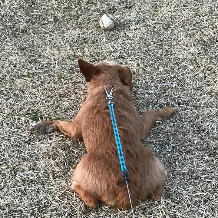 57edc309 6fd9 41ed 9063 9797852299e4 1582108873826