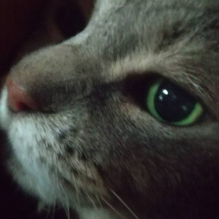 57ee52bf 76e3 49be a604 1adad3ddd8f4 1633753210366