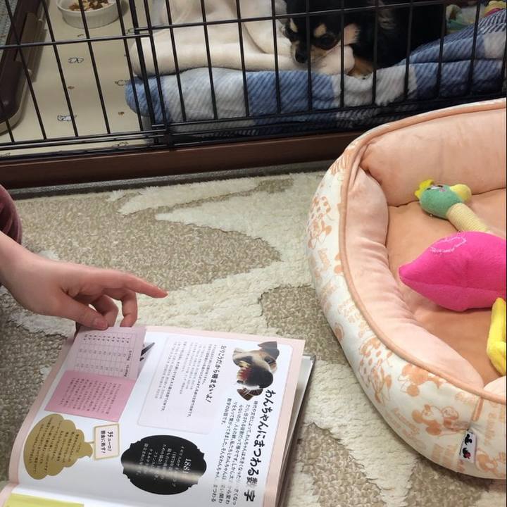 57ee5321 90d0 4214 8000 745aac9dc266 1553559414754