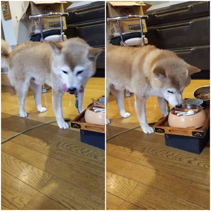 57ee53ca 87a6 4f66 b82f 602249ce44fd 1688544293546