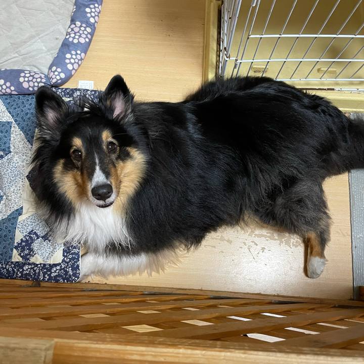 57ee8494 2ba1 435f bce9 89b7272dce2f 1622758233993