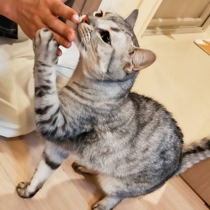 57eec559 f616 40d8 af19 7ad7f98765d5 1605334297141