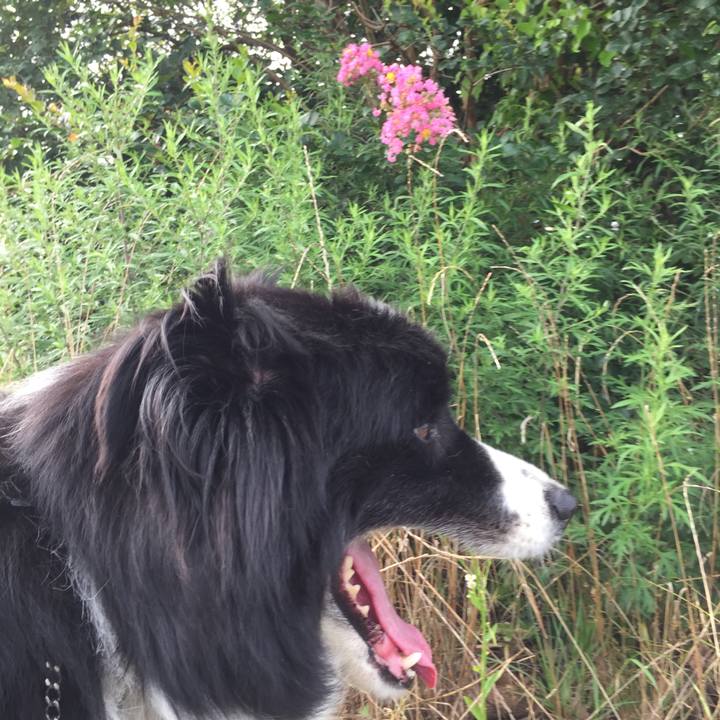 57eedb4c 749f 4de9 96d6 fbf3be54cd1f 1563324921613