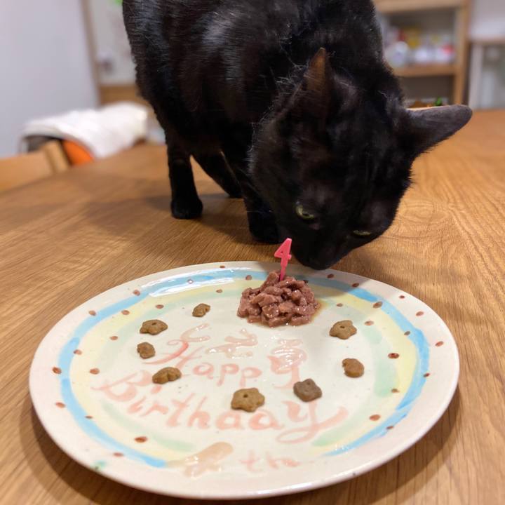 57eee003 0ec3 4b1f a8ea 16c5a7521326 1588158753870