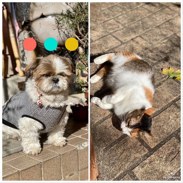 57efc110 8369 4651 9923 0f435674ad93 1638082772886