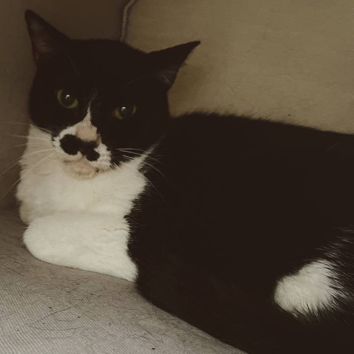 57effbb8 92e4 4dc6 9b47 eafafe66831c 1651818047800