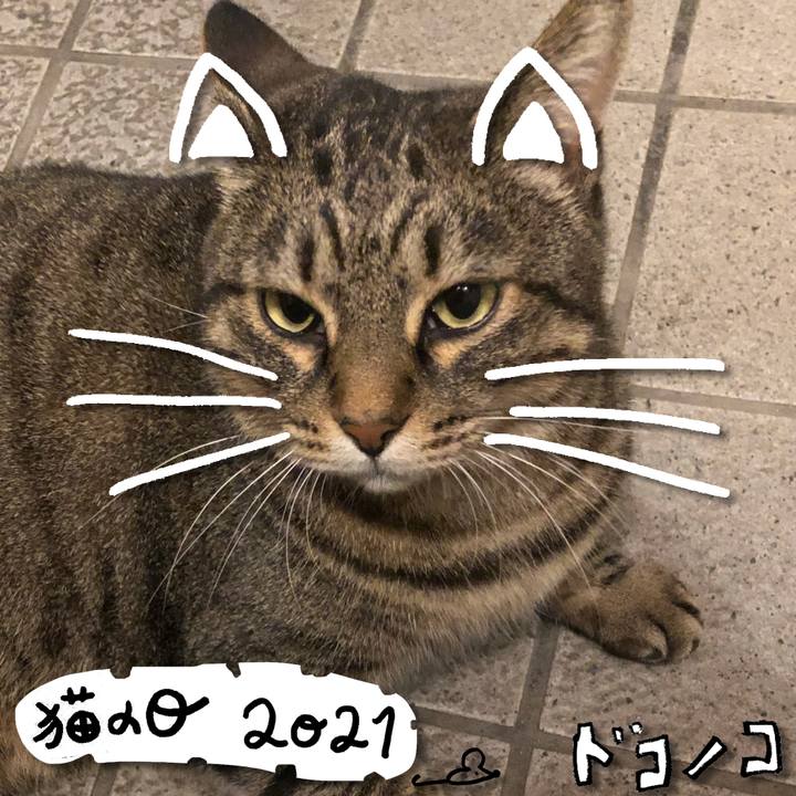 57f005c9 df1b 441c a316 fcce5ced09d5 1613988091392