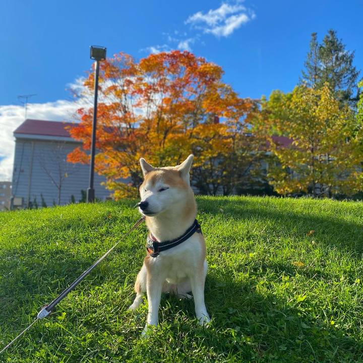 57f048d2 7f62 4067 a4bc 8eac8580e985 1666052770448